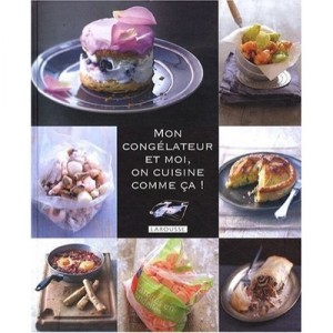 Mon Congelateur Et Moi - Collectif