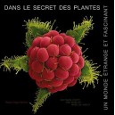 Dans Le Secret Des Plantes , Un Monde Etrange Et Fascinant - Wolfgang Stuppy