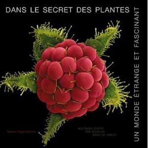 Dans Le Secret Des Plantes , Un Monde Etrange Et Fascinant - Wolfgang Stuppy
