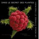 Dans Le Secret Des Plantes , Un Monde Etrange Et Fascinant - Wolfgang Stuppy