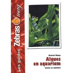 Algae In Aquarium, Fight And Culture - Daniel Knop