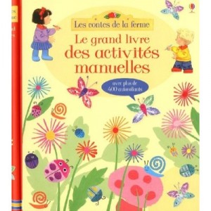 Mon Grand Livre D'activites - Collectif