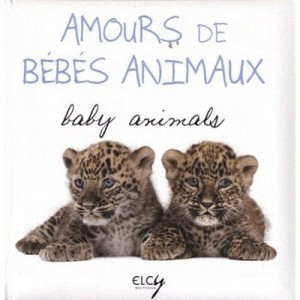Amours De Bebes Animaux - Collectif