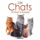 Les Chats , 43 Races A La Loupe - Yann Belloir