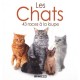 Les Chats , 43 Races A La Loupe - Yann Belloir