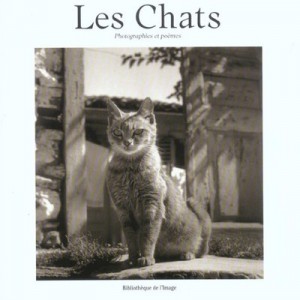 Les Chats , Photographies Et Poemes - Collectif