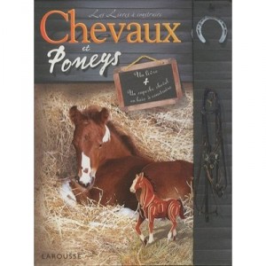Chevaux Et Poneys - Collectif