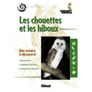 Les Chouettes Et Les Hiboux - Bruno Veillet , Emmanuelle Veillet