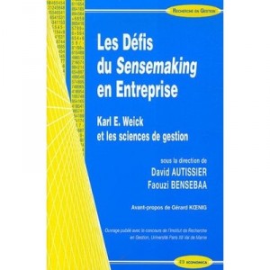 Les Defis Du Sensemaking En Entreprise , Karl E. Weick Et Les Sciences De Gestion - David Autissier , Faouzi Bensebaa
