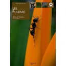 Les Fourmis , Especes , Comportement , Reproduction , Alimentation , Soins Quotidiens - Marie-sophie Germain