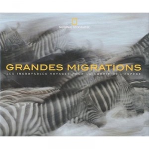 Les Grandes Migrations - Collectif
