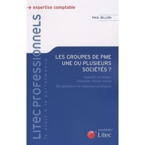 Les Groupes De Pme , Une Ou Plusieurs Societes ? - Paul Billion
