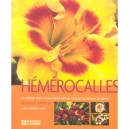 Les Hemerocalles - Rejean D. Millette