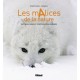 Les Malices De La Nature , Tactiques, Ruses Et Strategies Pour Survivre - Frederic Denhez , Biosphoto