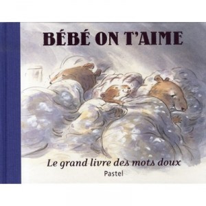 Bebe On T'aime , Le Grand Livre Des Mots Doux - Claude K. Dubois