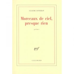 Pieces Of Heaven Almost Nothing - Claude Esteban