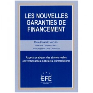 Les Nouvelles Garanties De Financement , Aspects Pratiques Des Suretes - Marie-elisabeth Mathieu
