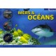 Mers Et Oceans - Collectif