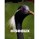 Les Oiseaux - Catherine Levesque