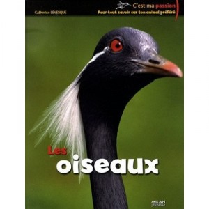 Les Oiseaux - Catherine Levesque