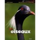 Les Oiseaux - Catherine Levesque