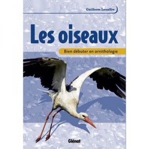 Les Oiseaux , Bien Debuter En Ornithologie - Guilhem Lesaffre
