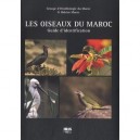 Les Oiseaux Du Maroc , Guide D'identification - Collectif