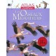 Les Oiseaux Migrateurs - Collectif