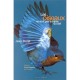 Les Oiseaux Ne Sont Pas Tombes Du Ciel - Jean Dorst