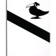 Les Oiseaux Sont Des Cons - Chaval