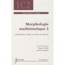 Morphologie Mathematique 2 Estimation Choix Et Mise En Oeuvre Traite Signal Et Image Ic2 - Talbot