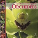 Les Orchidees - Vito Vigano