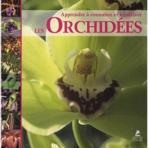 Les Orchidees - Vito Vigano