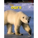 Les Ours - Elisabeth Mauris
