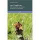 Les Papillons , Guide Pratique De La Prescription De Papillons En Homeopathie - Patricia Le Roux