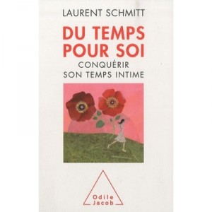 Les Paradoxes Du Temps Libre - Laurent Schmitt