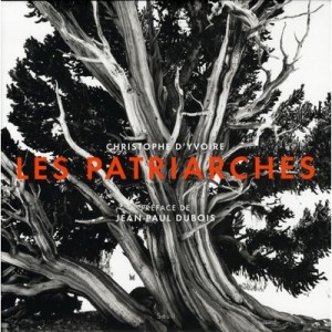 Les Patriarches - Christophe D' Yvoire