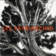 Les Patriarches - Christophe D' Yvoire