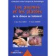 Les Paumes Et Les Plantes - Noble , Lambert