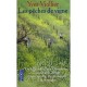 Les Peches De Vigne - Yves Viollier