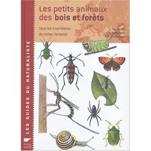 Les Petits Animaux Des Bois Et Forets - Olsen , Pedersen , Sunesen