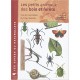 Les Petits Animaux Des Bois Et Forets - Olsen , Pedersen , Sunesen