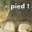 Au Pied ! - Stephane Frattini