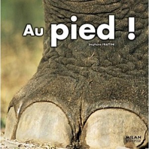Au Pied ! - Stephane Frattini
