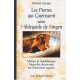 Les Pierres Qui Guerissent Selon Hildegarde De Bingen - Michael Gienger