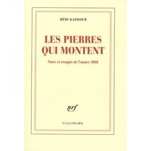 Les Pierres Qui Montent , Notes Et Croquis De L'annee 2008 - Hedi Kaddour