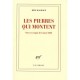 Les Pierres Qui Montent , Notes Et Croquis De L'annee 2008 - Hedi Kaddour