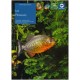 Les Piranhas - Marie-sophie Germain