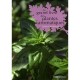 Le Grand Livre Des Plantes Aromatiques - Laurent Bourgeois
