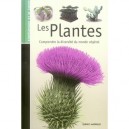 Les Plantes , Comprendre La Diversite Du Monde Vegetal - Collectif